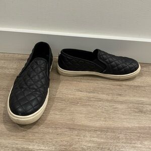 Steve Madden sneakers